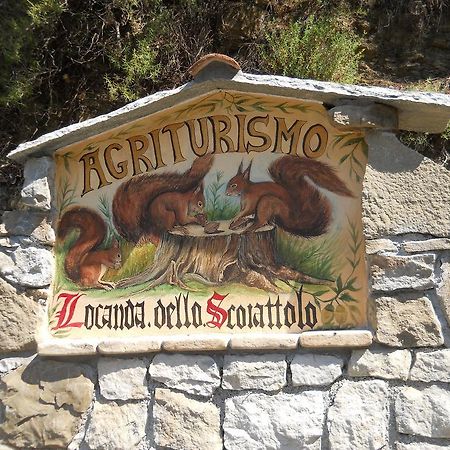 Lo Scoiattolo Villa Ventimiglia Eksteriør billede