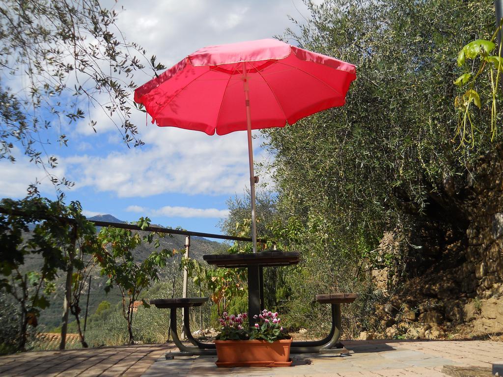 Lo Scoiattolo Villa Ventimiglia Eksteriør billede
